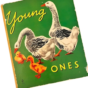 Vintage Young Ones Brimax Books Cambridge England Board Book