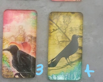 Glass Image 1x2 inch Domino Cabs Ravens!