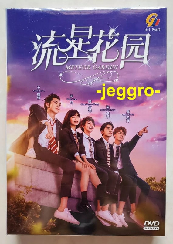 Buy Chinese Drama DVD Meteor Garden 2018 English Subtitle All Region FREE SHIPPING Online in India Etsy