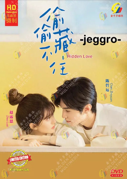 Chinese Comedy Romance Drama HD DVD Hidden Love 偷偷藏不住