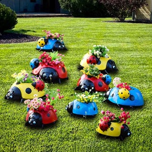 May include: A selection of ladybug-shaped planters in a garden, filled with flowers. The planters are painted in red, yellow, and blue with black details. The planters are set on a green lawn, creating a whimsical display.