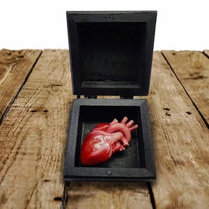 May include: A red anatomical heart model rests inside an open, black wooden box. The box is rectangular with a hinged lid. The heart model is detailed and realistic, with visible veins and arteries. The box sits on a wooden surface.