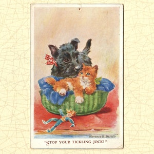 Florance E. Valter ansichtkaart jaren dertig Kat en Hond gesigneerde Valentine & sons serie No.4612 stop je kietelende jock afbeelding 1