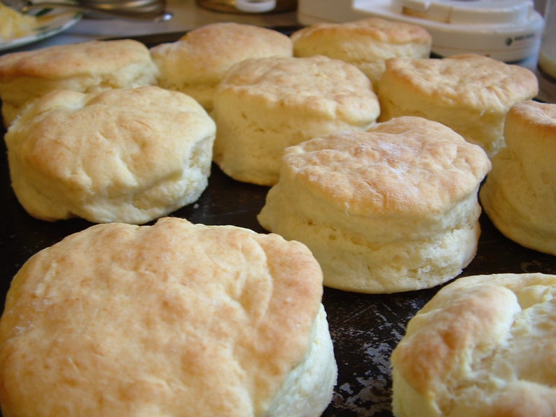 Celebrating Southern Appalachian Food: Recipes & Stories from Mountain Kitchens image 7