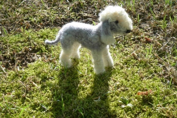 mini bedlington terrier