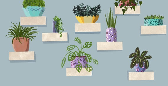 Zoom Virtual Background Wall Of Plants Etsy