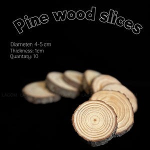 Pode incluir: Dez fatias de madeira de pinho natural, cada uma com um diâmetro de 4-5 centímetros e uma espessura de 1 centímetro. As fatias estão dispostas em semicírculo sobre um fundo preto.