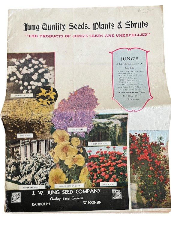 Jung Quality Seeds Plants and Shrubs Catalog - 1930s/1940s - Seeds Flowers  Vegetable Gardening Advertisement - Etsy