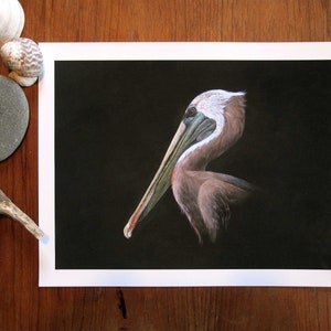 May include: A close-up of a brown pelican with a long beak, set against a black background. The pelican's head is turned to the side, and its eye is visible. The bird's feathers are a mix of brown, white, and gray.