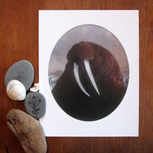 May include: A close-up of a watercolor painting of a walrus with long tusks. The walrus is brown and has a textured, wrinkled skin. The background is a muted blue and gray, suggesting a snowy or icy landscape.