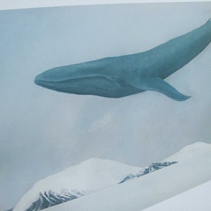 Rest, Blue Whale 11x14 Art Print image 4