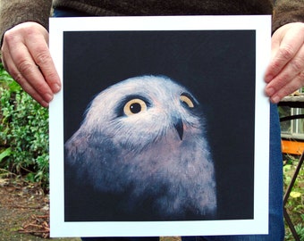 Owlet, Night - 11x11 Art Print