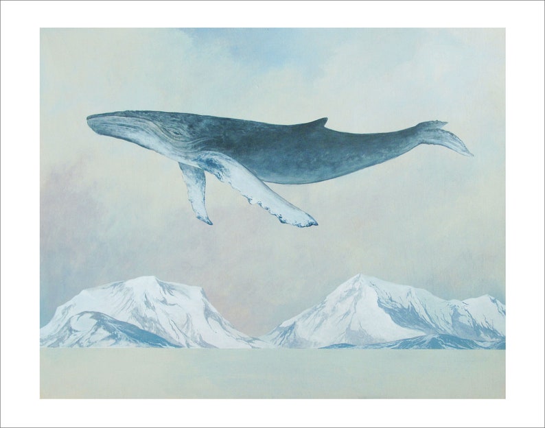 The Scout, Humpback Whale 11x14 Art Print image 3
