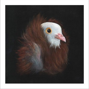 Fancy Pigeon art print image 3