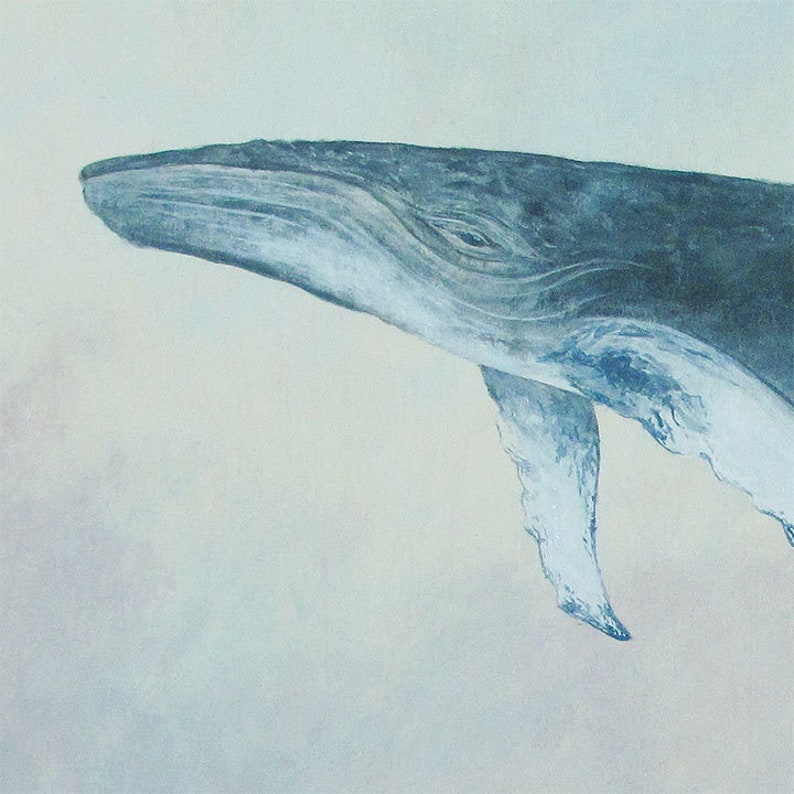 The Scout, Humpback Whale 11x14 Art Print image 2