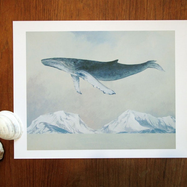 The Scout, Humpback Whale - 11x14 Art Print