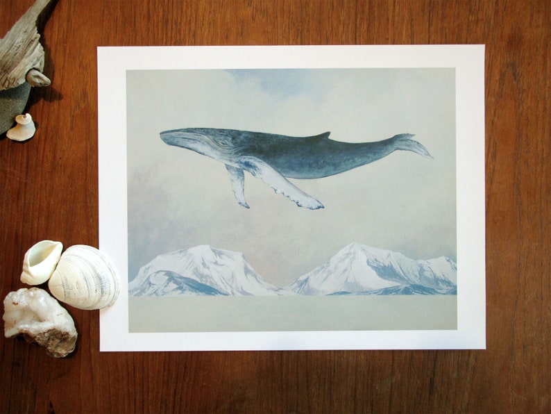 The Scout, Humpback Whale 11x14 Art Print image 1
