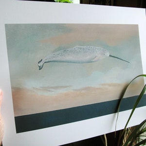 May include: A white and gray narwhal with black spots swims in a blue and pink sky with a brown and white sandy bottom. The narwhal has a long, thin, black tusk.