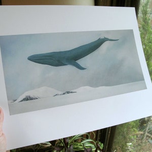 Rest, Blue Whale 11x14 Art Print image 5