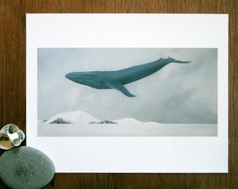 Rest, Blue Whale - 11x14 Art Print