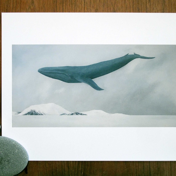 Rest, Blue Whale - 11x14 Art Print