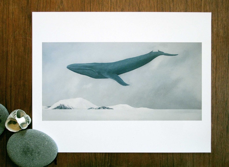 Rest, Blue Whale 11x14 Art Print image 1