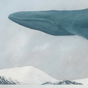 Rest, Blue Whale 11x14 Art Print image 6