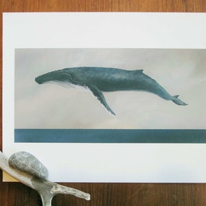 Descend, Humpback Whale 11x14 Art Print image 1