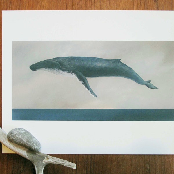 Descend, Humpback Whale - 11x14 Art Print