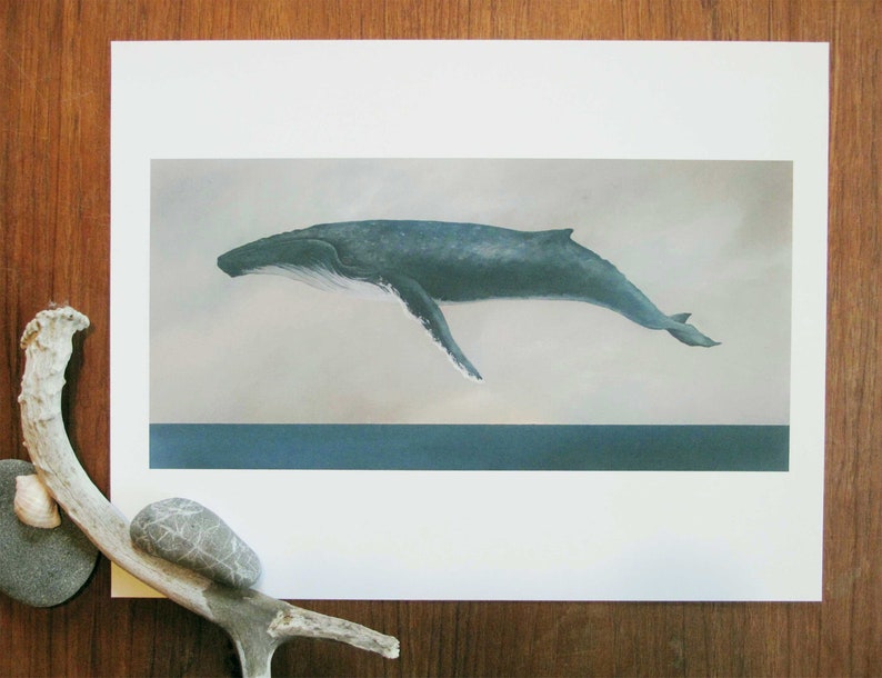 Descend, Humpback Whale 11x14 Art Print image 1