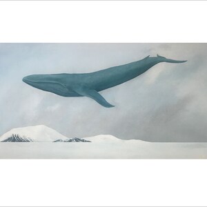 Rest, Blue Whale 11x14 Art Print image 3