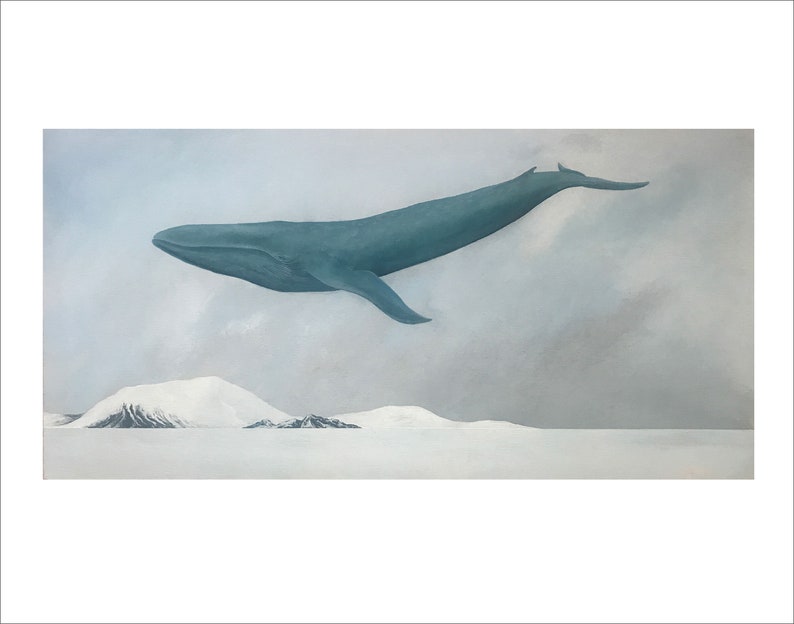 Rest, Blue Whale 11x14 Art Print image 3