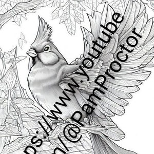 Pode incluir: Um desenho a preto e branco de um pássaro empoleirado numa casa de pássaros. O pássaro tem as asas abertas e está a olhar para a esquerda. A casa de pássaros tem um design detalhado com um telhado e uma pequena janela. A imagem inclui o texto "https://www.youtube.com/c/PamProctor".