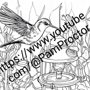 Five pack bundle of digital Hummingbirds to color
