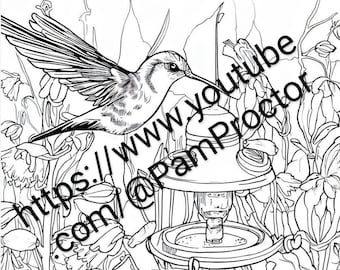 Five pack bundle of digital Hummingbirds to color