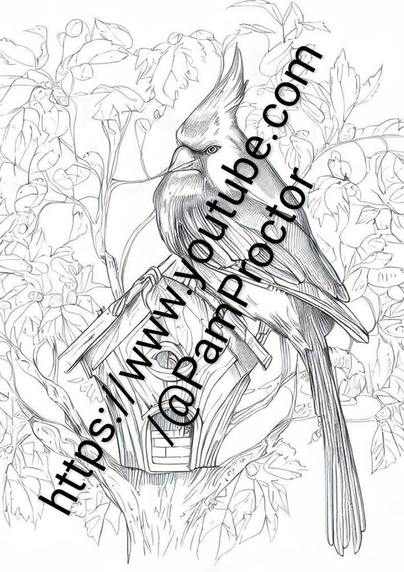 Printable Original Coloring Pages, Instant Digital Download / PDF, Bird