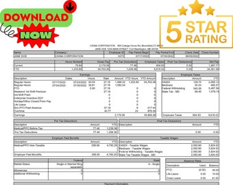 Customizable Check Stub Template Editable PDF Word Document