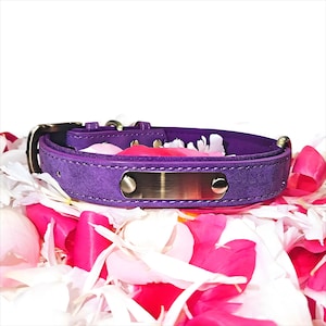 Personalized Purple Leather Dog Collar with Engraved Nameplate