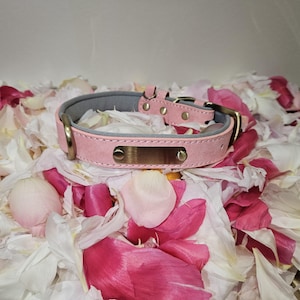 Personalized Leather Dog Collar with Engraved Nameplate & Matching Leash Set
