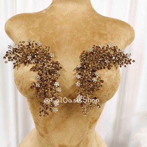 Puede incluir: Un maniquí bronceado muestra dos apliques florales ornamentados, marrones y dorados, para el corpiño. Los apliques están adornados con cristales transparentes y marrones y pequeños acentos florales blancos. El texto "@Ca10astShop" es visible.