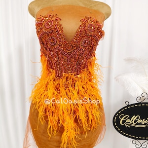 May include: A strapless orange dance dress with a deep V-neck bodice heavily embellished with beads and sequins. The skirt is adorned with vibrant orange feathers. The dress is displayed on a mannequin.
