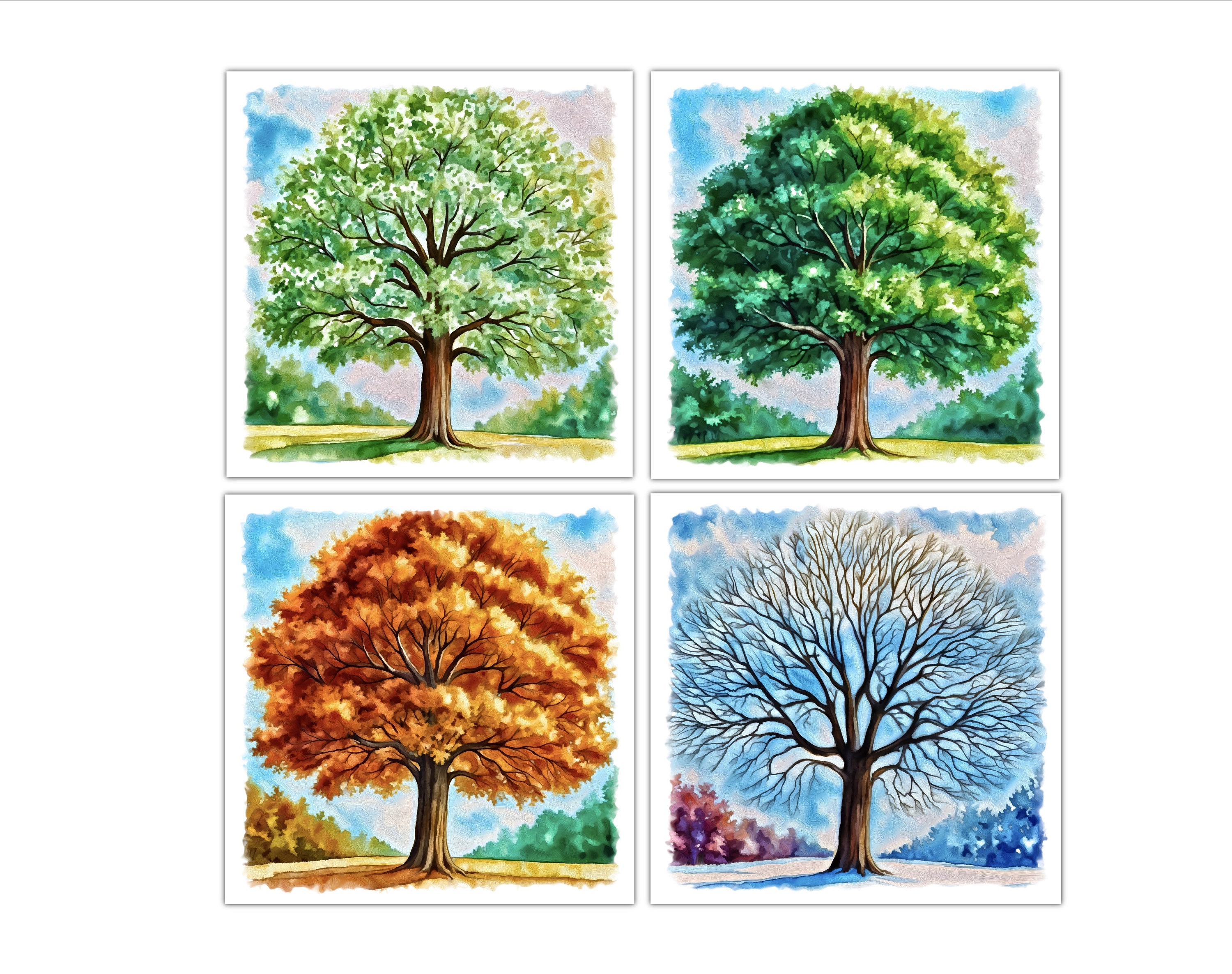 置物 COMPANY Tree of Seasons Amazon.com: Taojiyuan Bonsai Tree