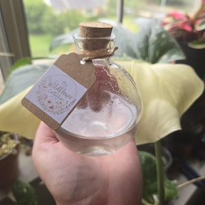 May include: A clear, spherical glass bottle with a cork stopper, filled with a transparent liquid. A brown paper tag is tied to the neck with twine, featuring a white label with the text The Wildflower Collective and a floral illustration.
