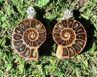 Fossilized Ammonite Earrings: Silver-Tone Boho Jewelry
