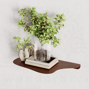 Modern Metal Floating Shelf: Colorful Wall Mounted Display