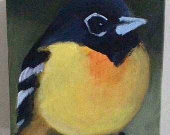 Acrylic on Canvas- Bird Painting- Oriole