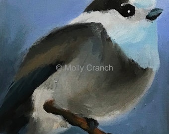 Peace- 10 x 10 painting of a Gray Jay