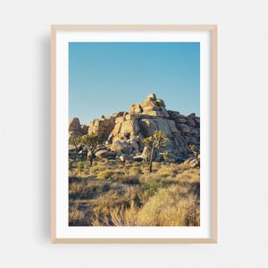 Joshua Baum Druck, Kalifornien Wandkunst, Wüste, gerahmte Kunst, Landschaft, Wohnkultur, Natur Poster, Landschaftsbild, Wildnis, Kaktus