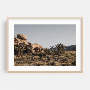 Joshua Baum Druck, Kalifornien Wandkunst, Wüste gerahmte Kunst, Landschaft, Wohnkultur, Natur Poster, Wildnis Fine Art, Landschaftlich, Kaktus