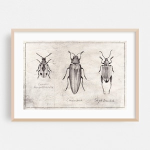 Impresión vintage, arte mural botánico, arte enmarcado en blanco y negro, decoración natural para el hogar, póster de bocetos, dibujo artístico